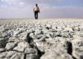 Vicious cycle of climate change, wildfires, air pollution have ‘spiraling negative impact’ on planet: Report