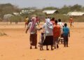 Drought, post-war economic situation forcing 60% of students out of schools in Tigray region of Ethiopia