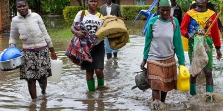 Heavy rains, landslides claim 37 lives in northern Ethiopia