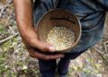 Hunger set to worsen in 16 ‘hotspots’ worldwide: Report