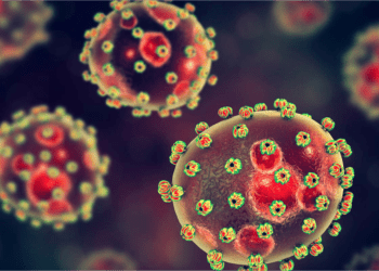 Ondo, Edo record nine fresh cases of Lassa fever, says NCDC