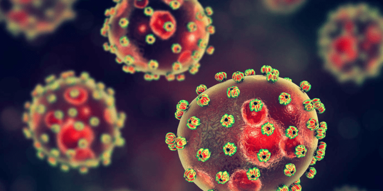 Ondo, Edo record nine fresh cases of Lassa fever, says NCDC