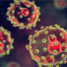Ondo, Edo record nine fresh cases of Lassa fever, says NCDC