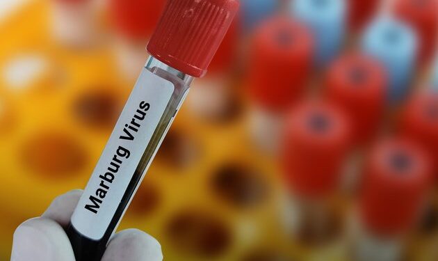 Rwanda begins vaccination against Marburg virus