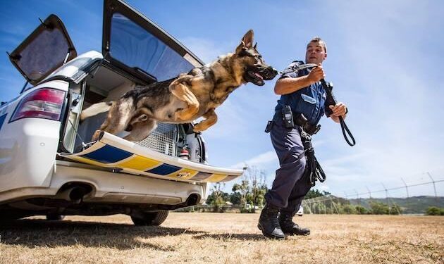 Scientific acceptance of animal consciousness