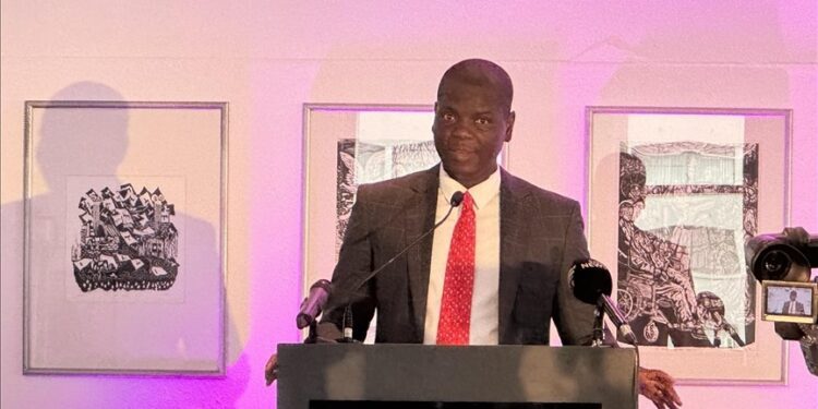 Terrorism pressing peace, security challenge in Africa: South African foreign minister