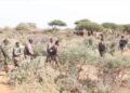Somali army liberates strategic village from al-Shabaab terrorists