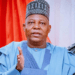 Nigeria to tap from $5 billion global carnival market: Shettima