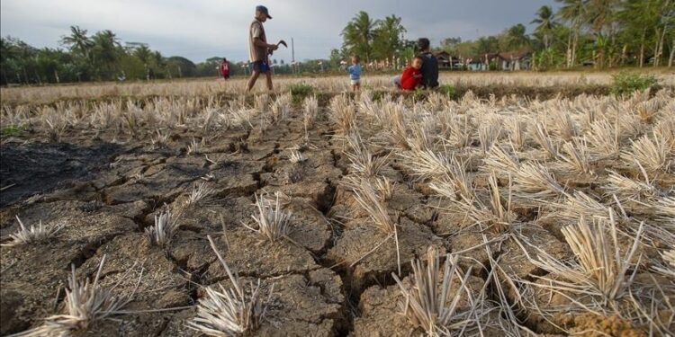 Islamic bank grants $10M to WHO for health care, climate solutions