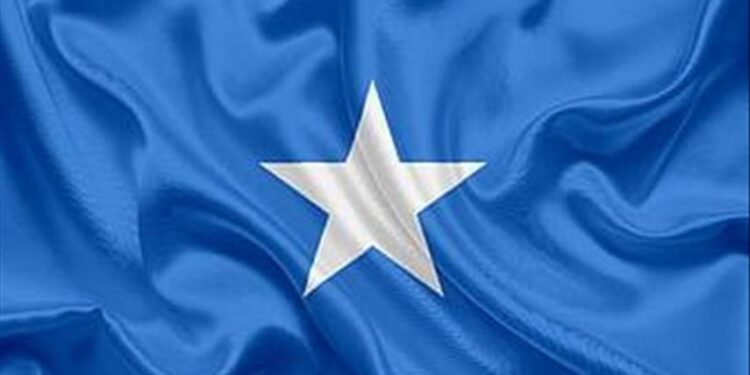 Somali cabinet fires army chief, reappoints predecessor