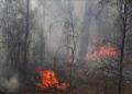 Residents in southern Australia flee threatening grassfire on Christmas Day