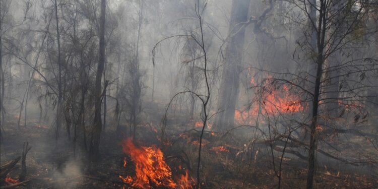 Residents in southern Australia flee threatening grassfire on Christmas Day