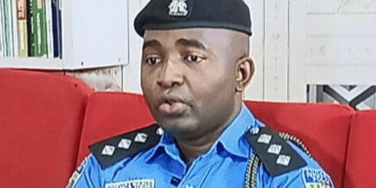 Anambra: Police nab kidnap suspect disguising as IPOB member