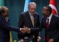 Ankara Declaration hailed as a game-changer for Africa by expert