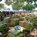 2,225 bags of rice distributed to Benue IDPs: Official