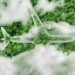 ‘Don’t touch my pocket!’ South African passengers say airlines must pay for reducing their carbon footprint, not them