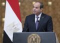 Egypt follows Ethiopia-Somalia agreement, hopes for stability: President al-Sisi