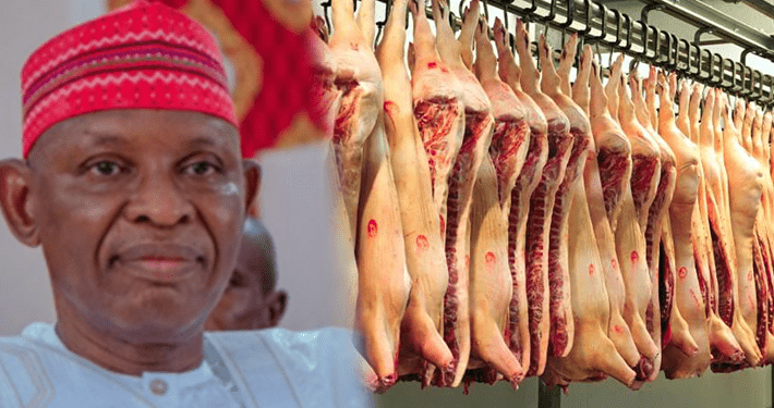 Gov Yusuf uses N1.6 billion to upgrade slaughterhouses in Kano