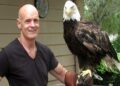 The bald eagle designated America’s national bird by Biden