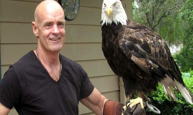 The bald eagle designated America’s national bird by Biden