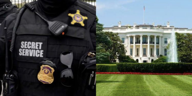 U.S. Secret Service seizes $860,000 from Nigerian crypto account in major cybercrime bust