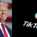 Trump to meet TikTok CEO amid ban deadline for social media app