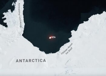 Iceberg visible from space puts South Georgia Island, wildlife in danger