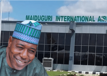 Residents cry out as governor demolishes houses for Borno airport project