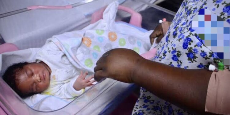 Police rescue newborn dumped in FCT bush, apprehend mother