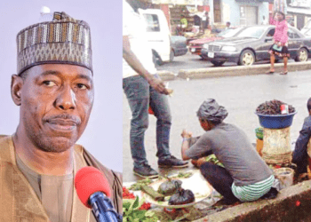 Borno government bans street hawking amid economic hardship