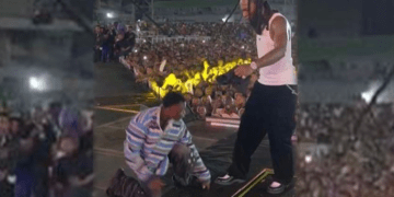 I jumped on stage to embrace Burna Boy; I didn’t know he would attack me: Fan kicked off stage by singer