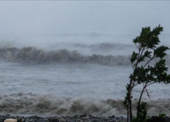 Cyclone Dikeledi kills 3, displaces thousands in Madagascar