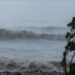 Cyclone Dikeledi kills 3, displaces thousands in Madagascar