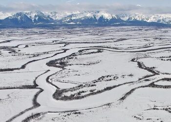 Greenland premier urges independence as Trump renews interest in island