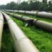 IEA calls for global cooperation as gas market tightens