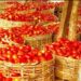 Price of tomatoes crashes amid glut, post-harvest losses