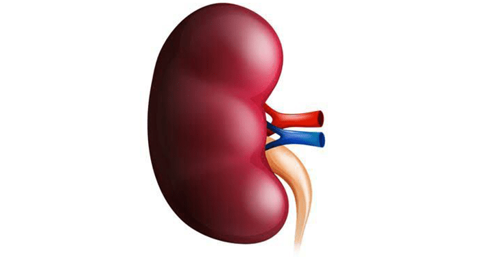 Yobe, centre partner to tackle kidney disease