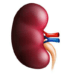 Yobe, centre partner to tackle kidney disease