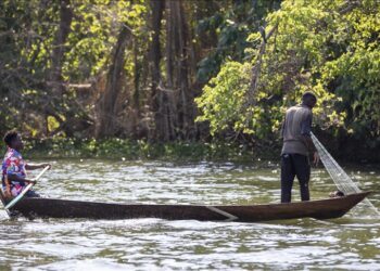 ‘We’re losing everything’: The battle for Lake Victoria’s survival in Tanzania