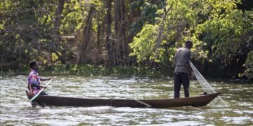 ‘We’re losing everything’: The battle for Lake Victoria’s survival in Tanzania