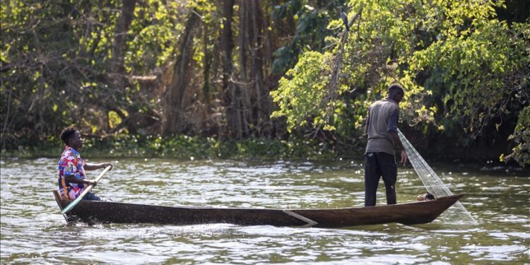 ‘We’re losing everything’: The battle for Lake Victoria’s survival in Tanzania