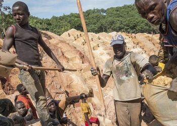 7 illegal miners killed by army in southern Ghana