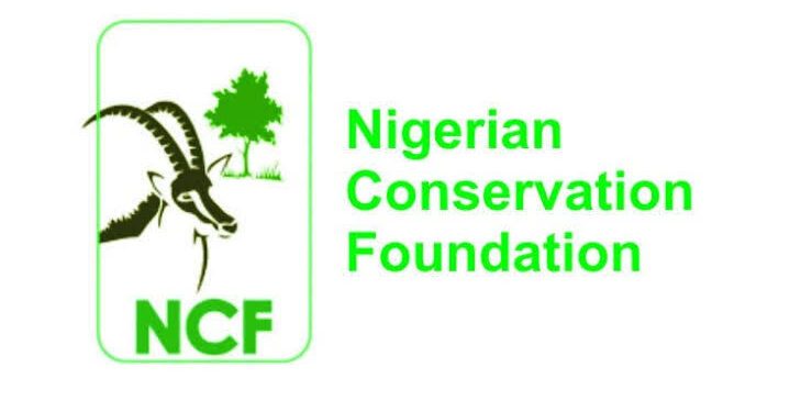NCF to award grants to two PhD students on environmental science