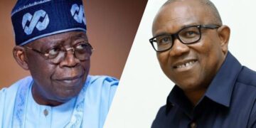 Tinubu regime punishing my family, destroying our businesses because I am opposing him: Peter Obi