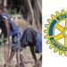 Rotary chairman assures Nigeria of more funding for polio eradication
