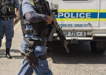 Mandela’s grandson arrested for hijacking, unlicensed firearm in South Africa