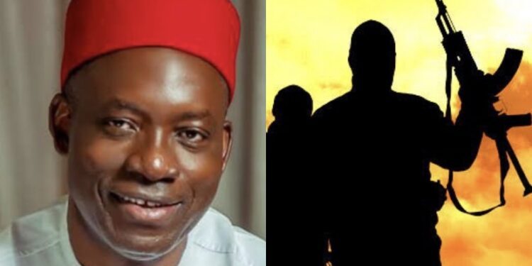 Wanted Anambra Gunmen: Governor Soludo offers N10 million bounty