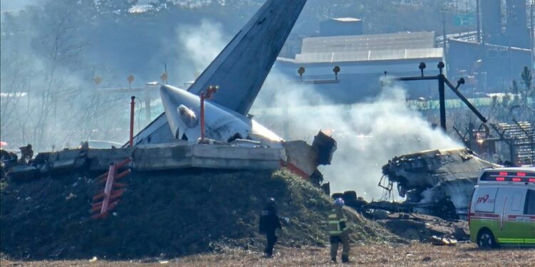 Bird collision came before South Korean runway crash: Investigators