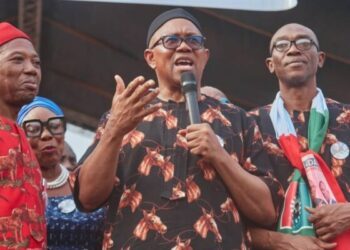 Obi tasks Ohaneze Ndigbo leaders on national peace, unity
