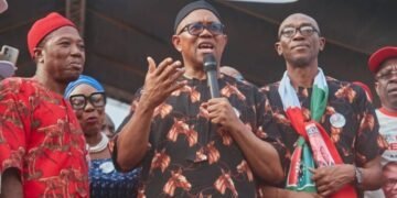 Obi tasks Ohaneze Ndigbo leaders on national peace, unity